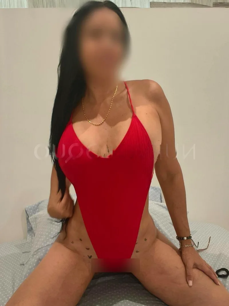 NOVEDAD JUGUETONA