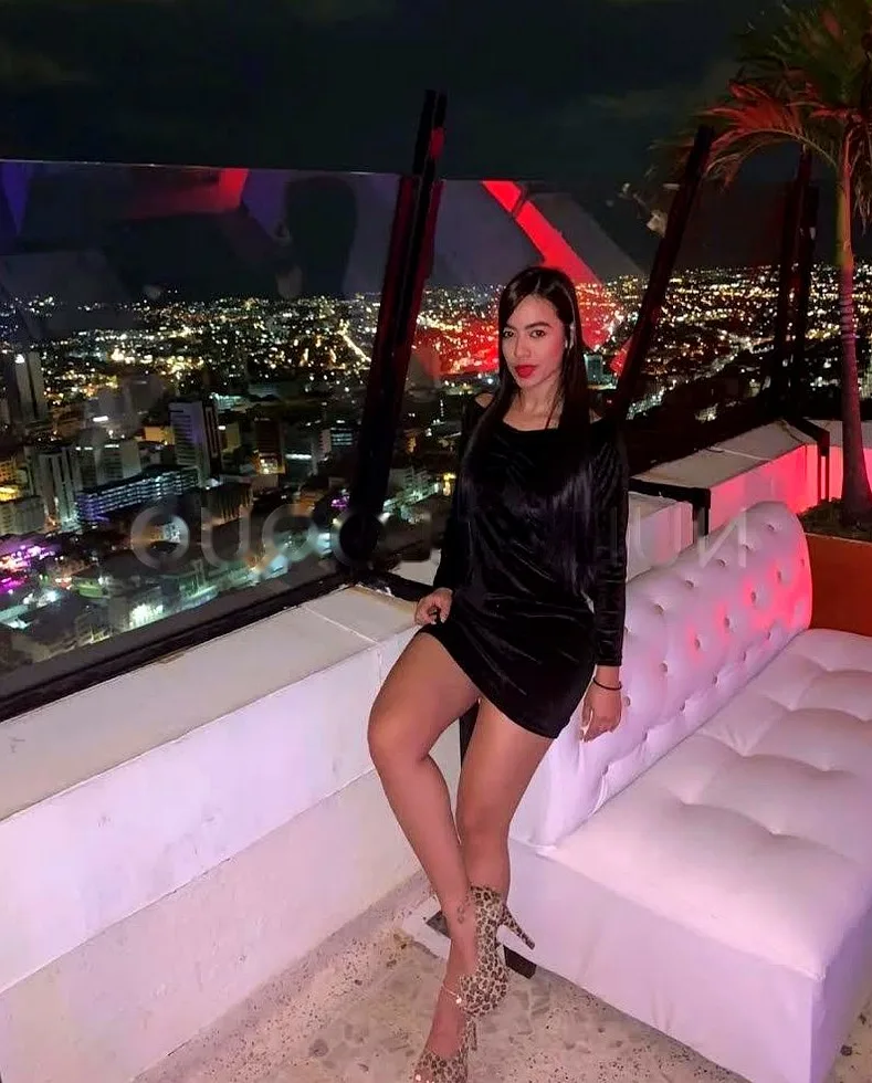 LLEGO SIN DEMORA TU ZONA