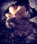 Acompañante, escort en Alicante