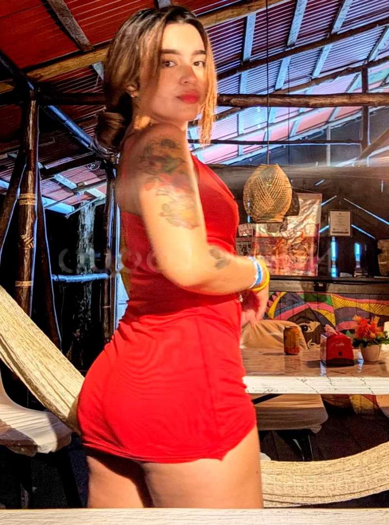 NOVEDAD TODA PARA TI