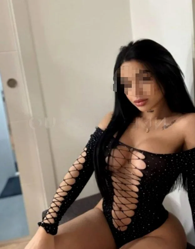 TU COMPAÑÍA PERFECTA